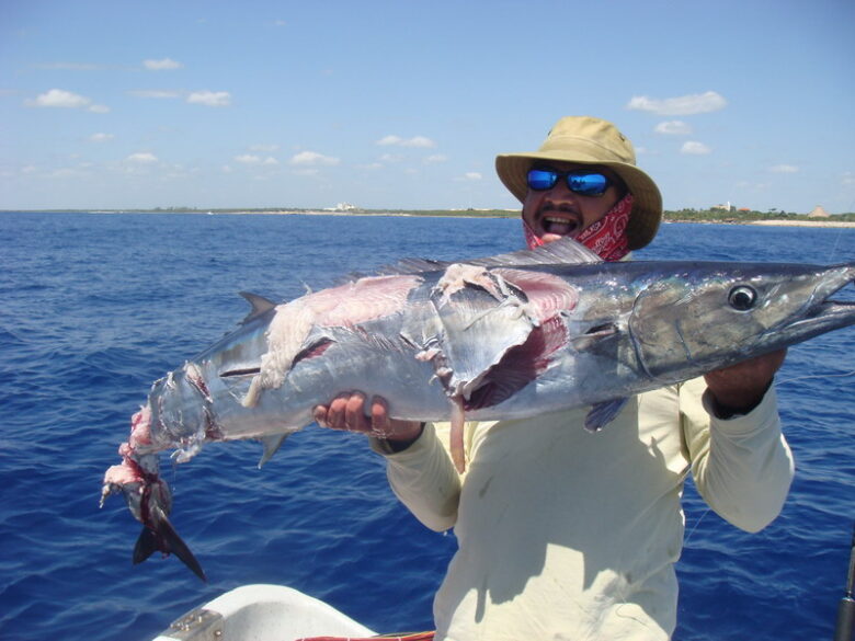 fishing-species-in-playa-del-carmen-travel-planer