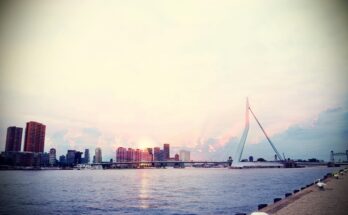 Rotterdam cruises